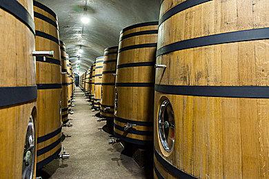 《星球大战绝地：幸存者》BUG：玩家经验值被打飞